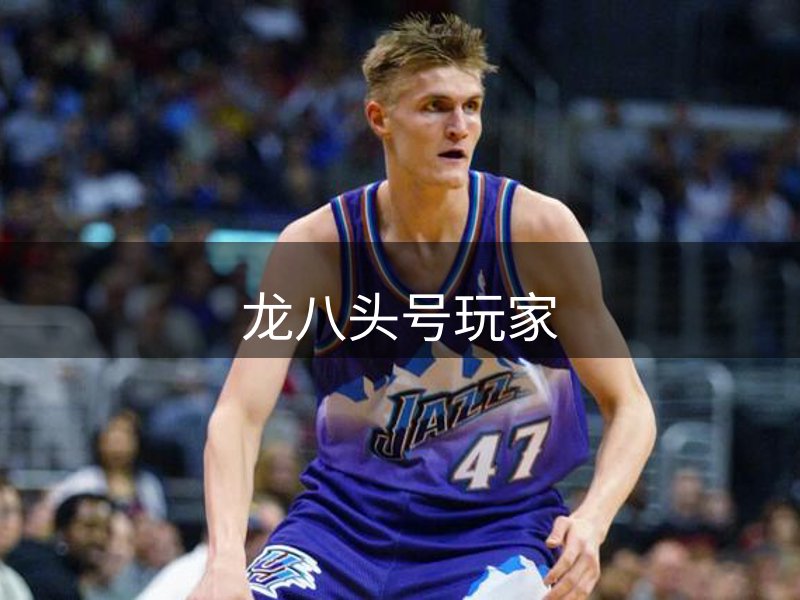 龙八头号玩家简介